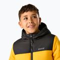 Kurtka ocieplana dziecięca REGATTA Lofthouse black/mustard 7