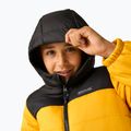 Kurtka ocieplana dziecięca REGATTA Lofthouse black/mustard 8