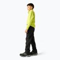 Spodnie trekkingowe dziecięce REGATTA Highton Winter RKJ176 black 3