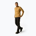 Bluza polarowa męska REGATTA Yonder II wood brown 2
