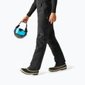Spodnie narciarskie męskie Dare 2b Baseplate Insulated Pant black 4