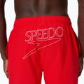 Szorty kąpielowe męskie Speedo Classic Logo Volley 16" high risk red 6