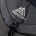 Plecak turystyczny Gregory Miwok 32 l flame black 4