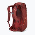 Plecak turystyczny Gregory Arrio 24 l brick red 7