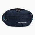 Saszetka nerka Gregory Nano Waistpack bright navy 3