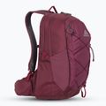 Plecak turystyczny Gregory Kiro 22 l amethyst purple 2