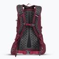 Plecak turystyczny Gregory Kiro 22 l amethyst purple 3