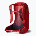 Plecak turystyczny męski Gregory Miko 30 l sumac red 7