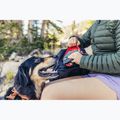Plecak turystyczny Gregory Nano 30 l bright navy 7