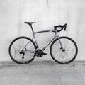 Rower szosowy Ridley Fenix Disc 105 arctic grey/glossy 2