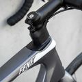 Rower szosowy Ridley Fenix Disc 105 arctic grey/glossy 9