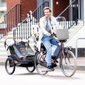 Przyczepka rowerowa bobike Moobe grey 16