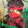 Koszulka dziecięca LEGO Lwtaylor 324 black 3