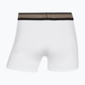 Bokserki męskie CR7 Fashion Trunk 5 par multicolour 10