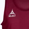 Znacznik piłkarski dziecięcy junior SELECT Basic bordowy 6841002997 3