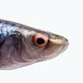 Przynęta gumowa Savage Gear LB 4D Herring Shad roach 2
