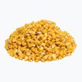 Kukurydza wędkarska Carp Target 0004 Naturalna 2