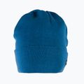 Czapka zimowa męska Viking Aston navy blue 2