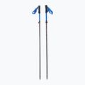 Kije trekkingowe Viking Kettera Pro black/blue