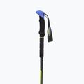 Kije trekkingowe Viking Carbo Lite lime/blue 2