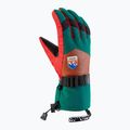 Rękawice narciarskie męskie Viking Brother Louis multicolour/brown 5