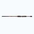 Wędka spinningowa DRAGON Fishing Express Spinn 25