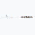 Wędka spinningowa DRAGON Fishing G.P.Concept Jerk 80H 2