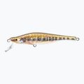 Wobler FishTank Delta orange panther