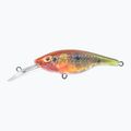 Wobler FishTank Charlie parrot