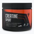 Kreatyna Trec Endu Creatine Sport Kiwi 300 g