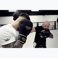 Rękawice bokserskie StormCloud Boxing Pro black/gold 12