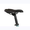 Rower trekkingowy męski KROSS Trans 3.0 zielony/srebrny/połysk 12