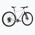 Rower gravelowy KROSS Esker 1.0 FL szary/fioletowy/połysk 3