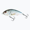 Wobler Salmo Fatso FLO real dace