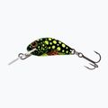 Wobler Salmo Hornet FLO beetle
