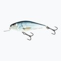 Wobler Salmo Executor SHR real dace