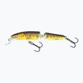 Wobler Salmo Fanatic F7F trout