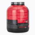 Izolat Fitness Authority Bad Ass Zero 2 kg cookies with cream 2