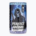 Aminokwasy Fitness Authority Skull Labs Perfect Amino 450 g blackberry/ pineapple