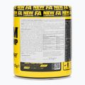 Przedtreningówka Fitness Authority Napalm On Stage Pump 313 g dragon fruit 2