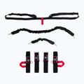 Gumy do treningu bokserskiego DBX BUSHIDO P2 + P3 Fighter Set