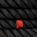Lina treningowa THORN FIT Competition Hybrid do sanek black 7