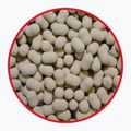 Przynęta haczykowa dumbells MatchPro Top Czosnek 7 mm 2
