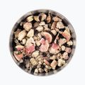 Żywność liofilizowana LYOFOOD Owsianka kokosowa z jagodami, figami i nasionami chia 300 g 4