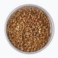 Żywność liofilizowana LYOFOOD Jaglanka na napoju kokosowym 210 g 3