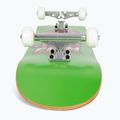 Deskorolka klasyczna Fish Skateboards Emma Beginner 8.0” 5