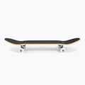 Deskorolka klasyczna Fish Skateboards Zack Beginner 8.0' 2