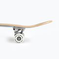 Deskorolka klasyczna Fish Skateboards Zack Beginner 8.0' 12