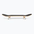 Deskorolka klasyczna Fish Skateboards Mason Beginner 8.0” 3