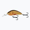 Wobler Salmo Hornet FLO golden crucian
